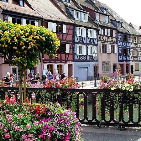 Colmar,Appart Chaleureux 2 Pas Centre Avec Jardin Extérieur photo