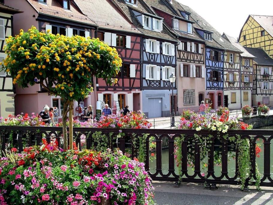 Colmar,Appart Chaleureux 2 Pas Centre Avec Jardin Extérieur photo